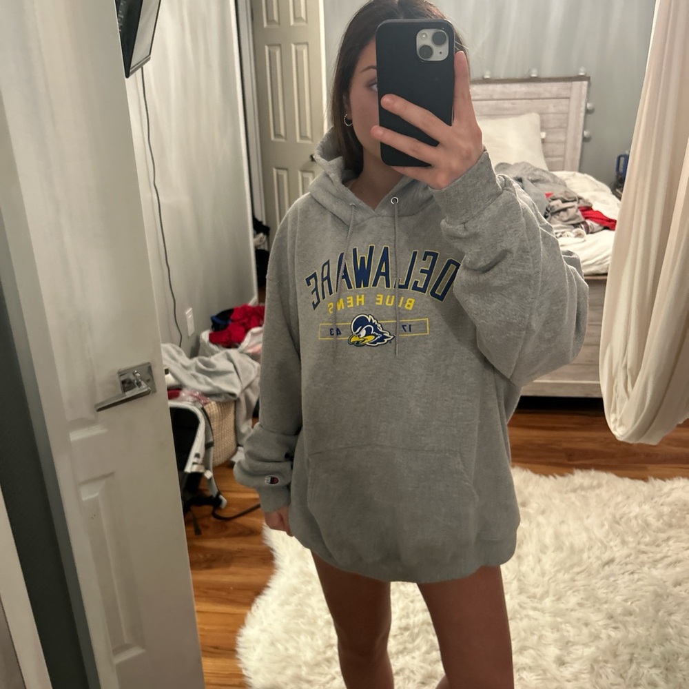 Delaware blue hens sweatshirt